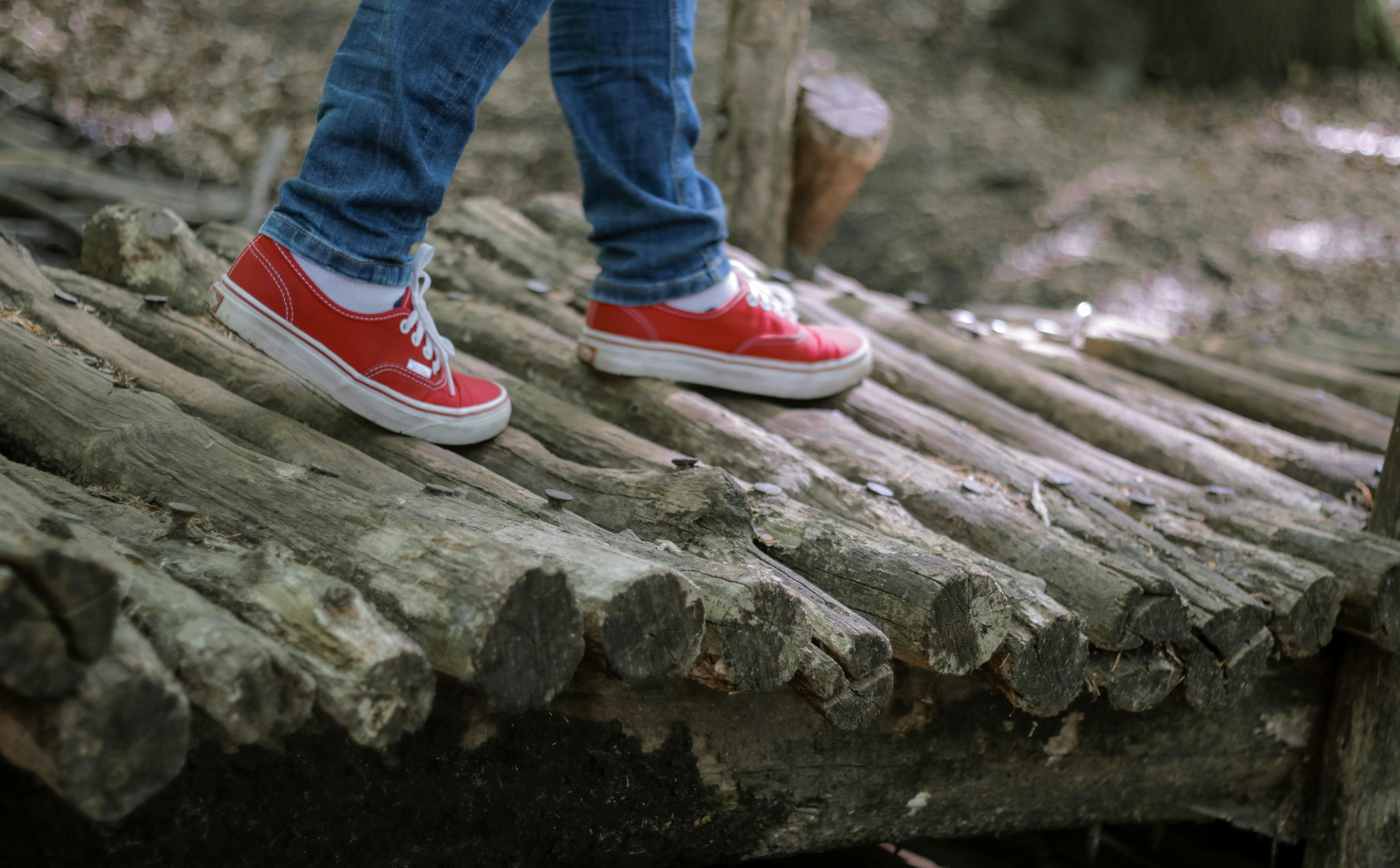 Stadtblick in Eberswalde - SEO Agentur Eberswalde und Webdesign Eberswalde