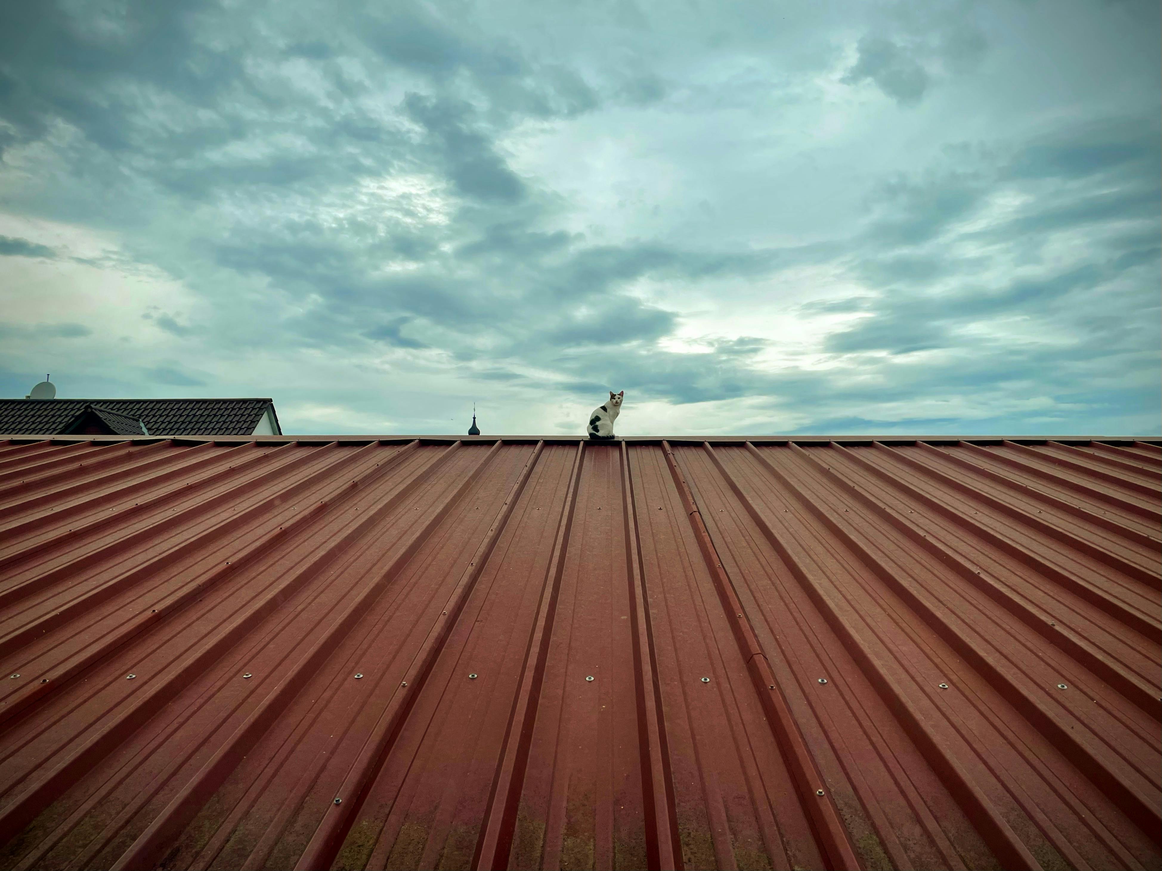 Stadtblick in Pfungstadt - SEO Agentur Pfungstadt und Webdesign Pfungstadt