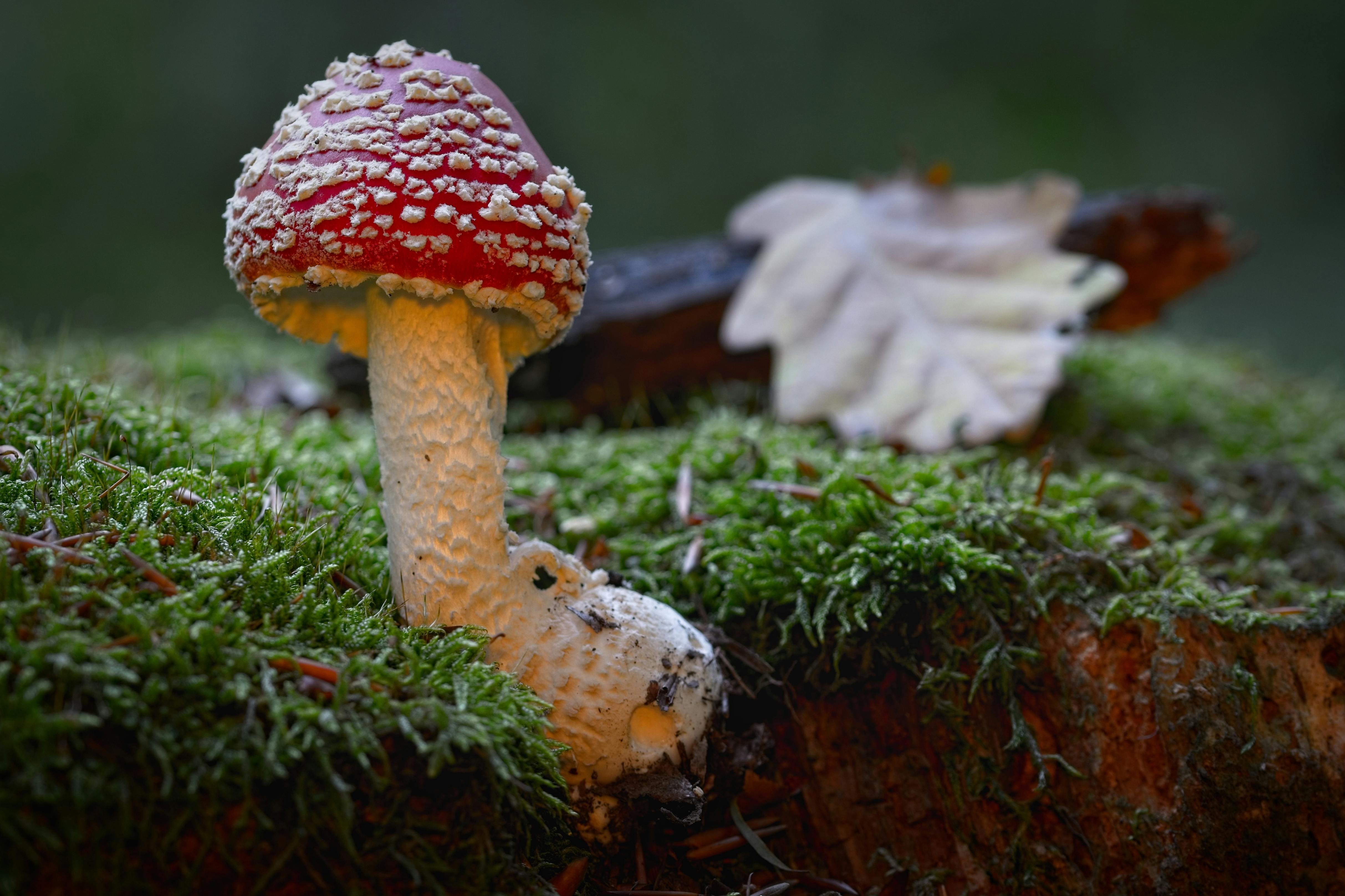 Stadtblick in Salzgitter - SEO Agentur Salzgitter und Webdesign Salzgitter