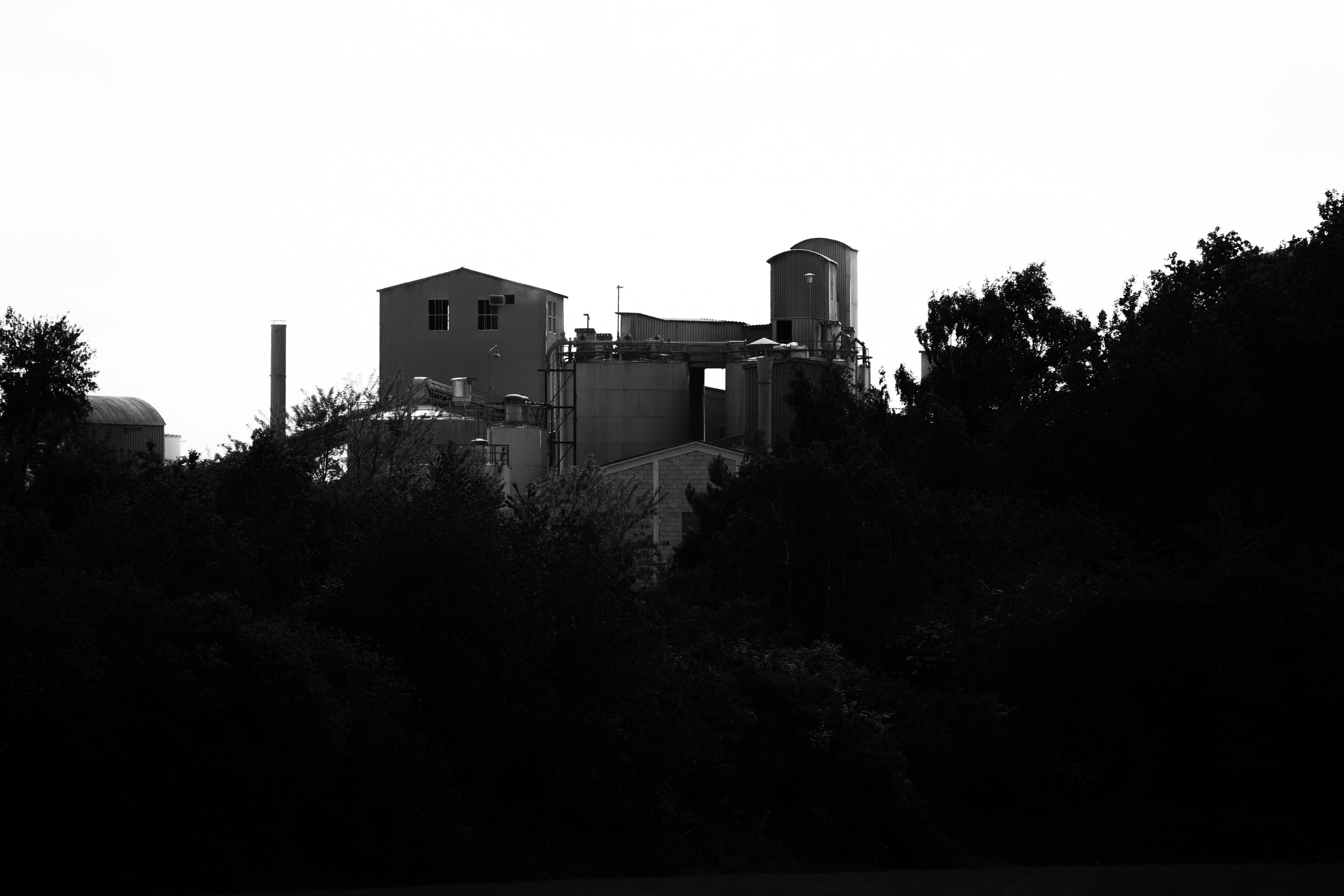 Stadtblick in Andernach - SEO Agentur Andernach und Webdesign Andernach