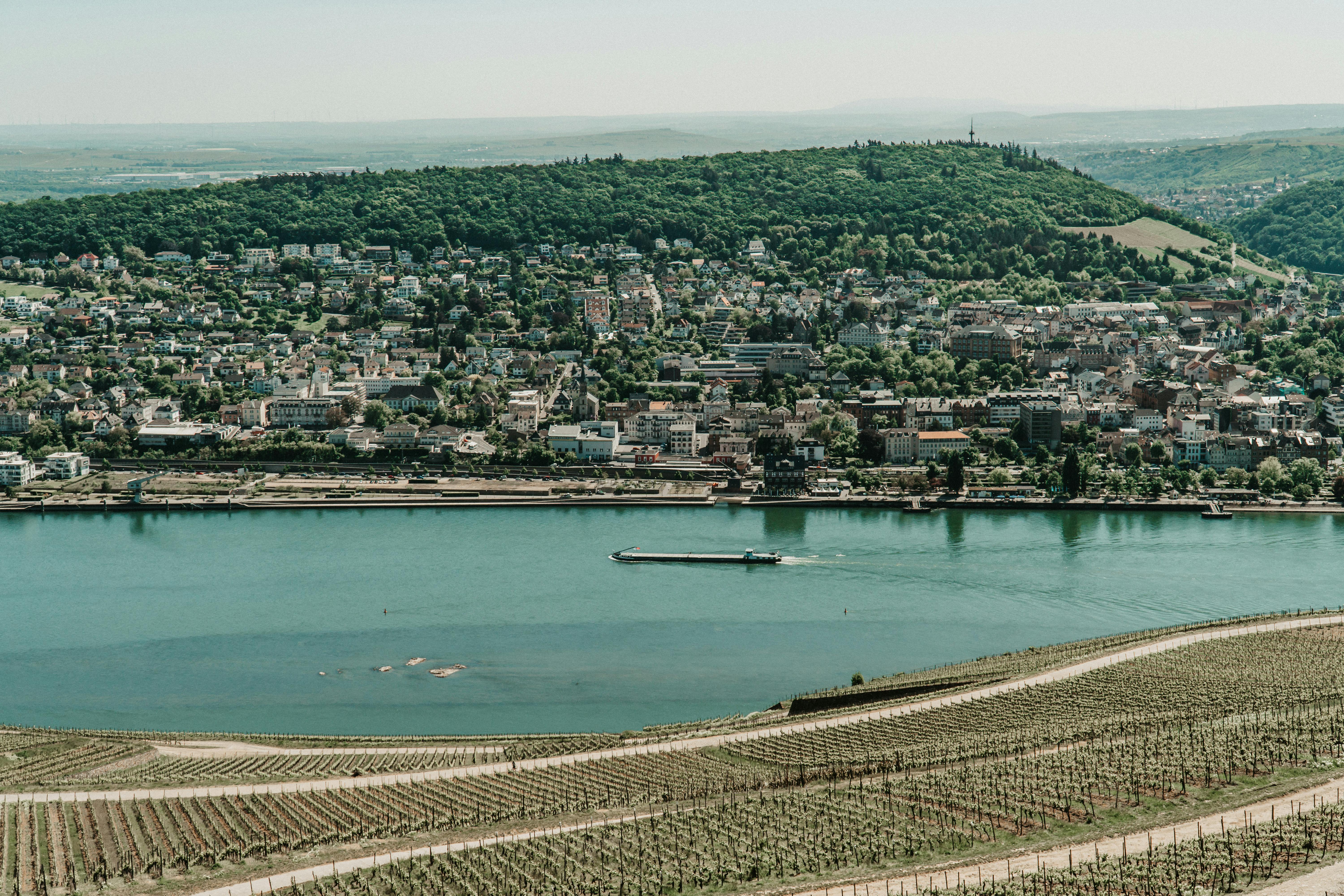 Stadtblick in Bingen Am Rhein - SEO Agentur Bingen Am Rhein und Webdesign Bingen Am Rhein