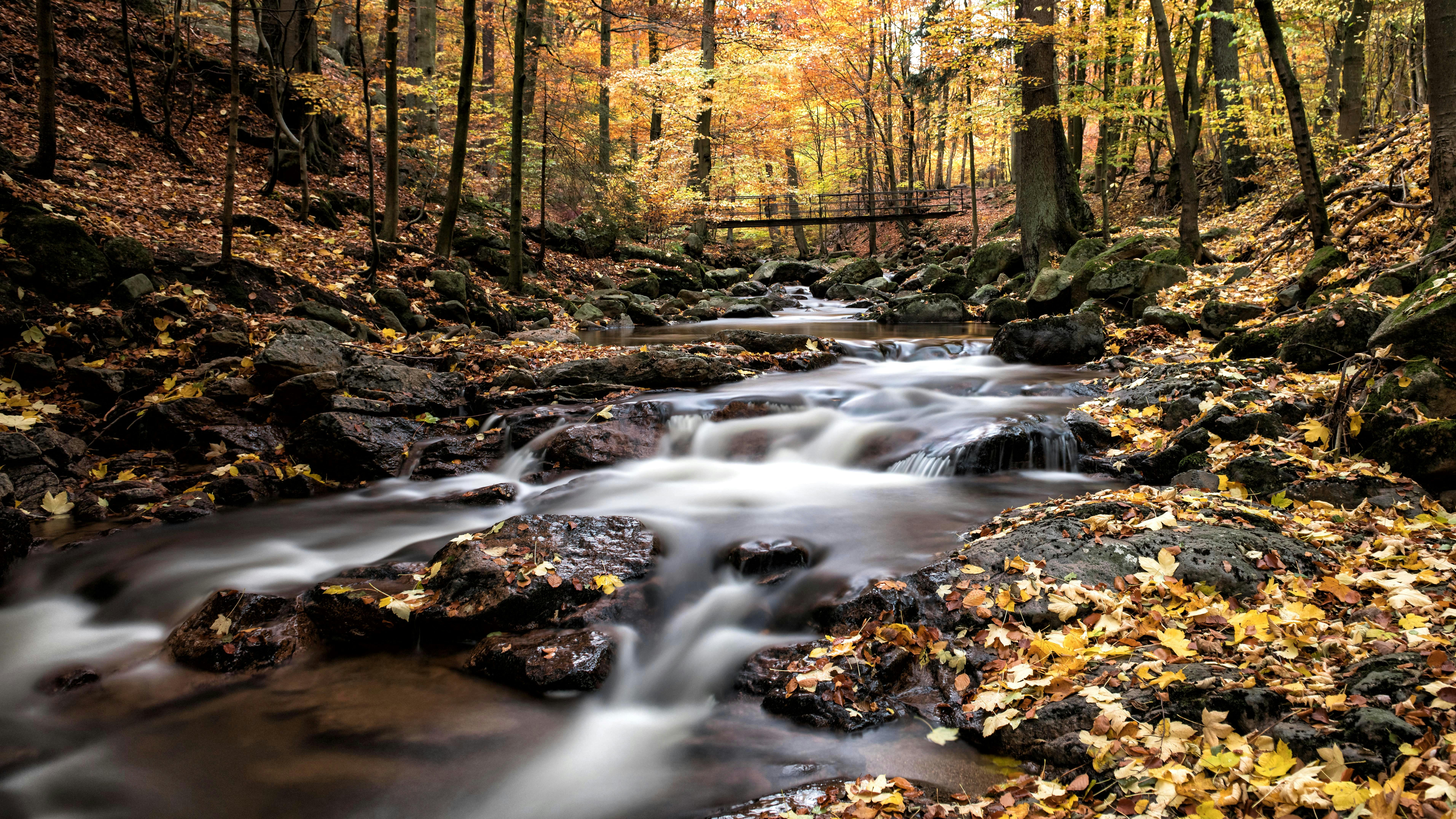 Stadtblick in Thale - SEO Agentur Thale und Webdesign Thale