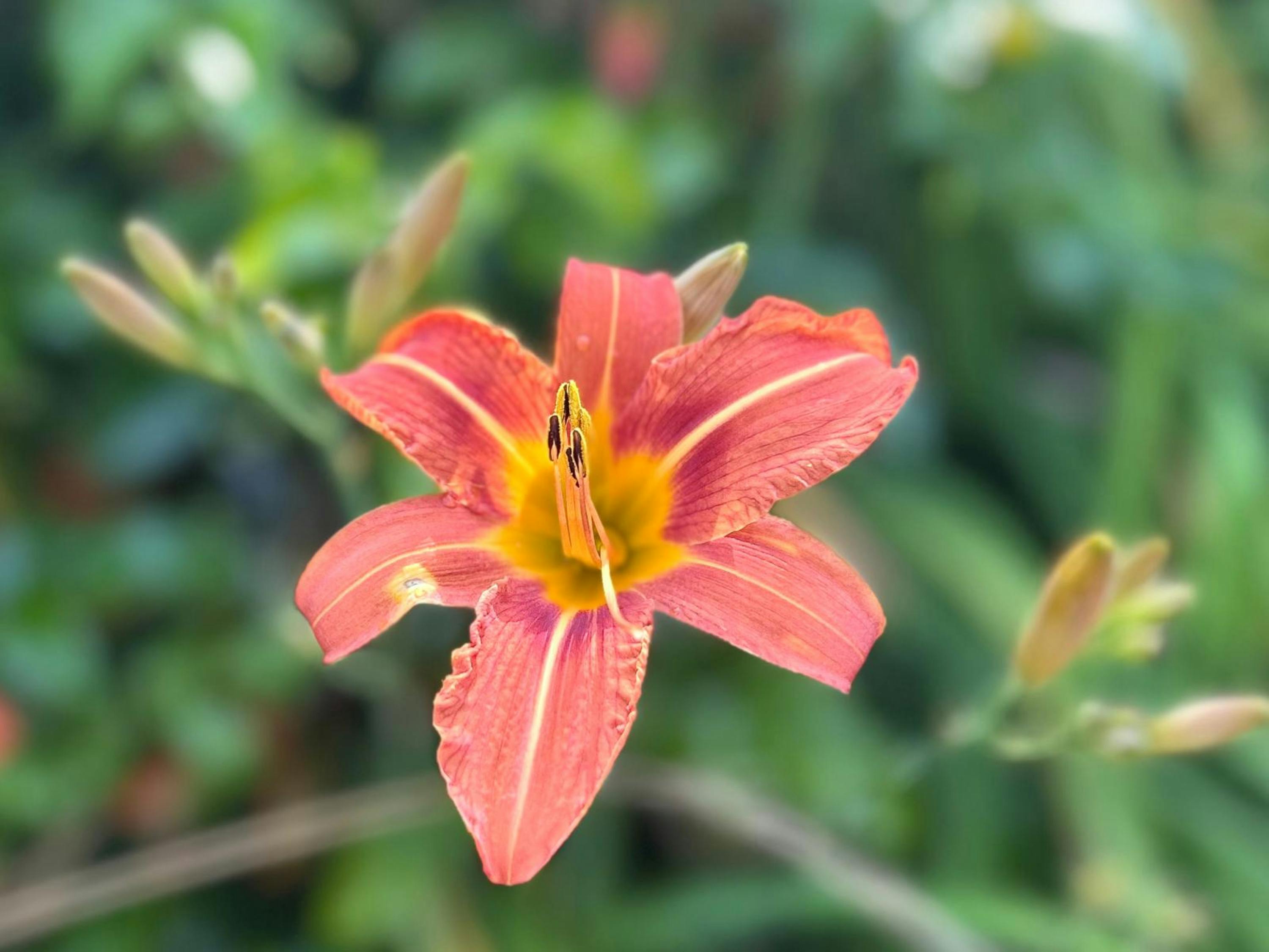 Stadtblick in Freital - SEO Agentur Freital und Webdesign Freital