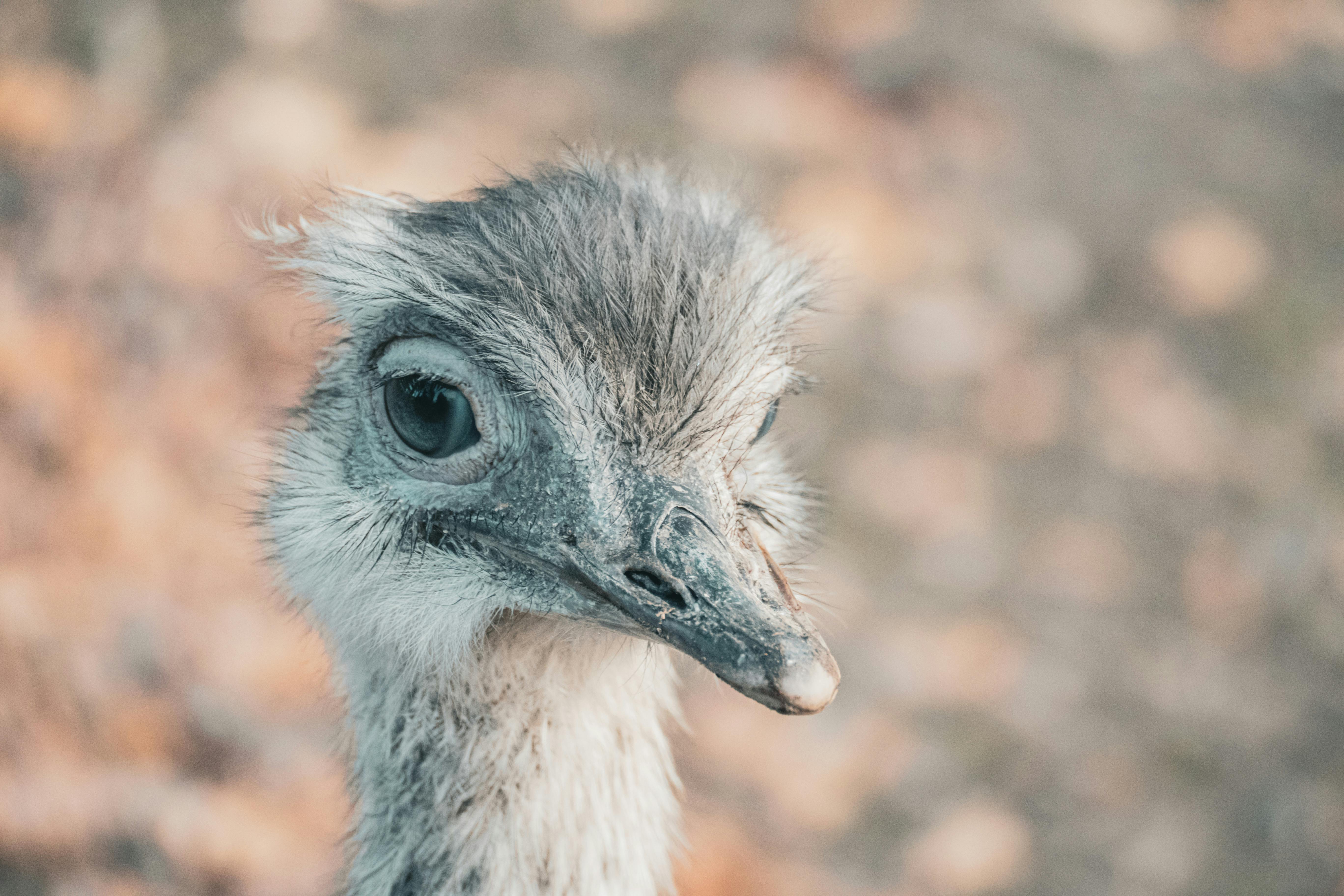 Stadtblick in Limbach Oberfrohna - SEO Agentur Limbach Oberfrohna und Webdesign Limbach Oberfrohna