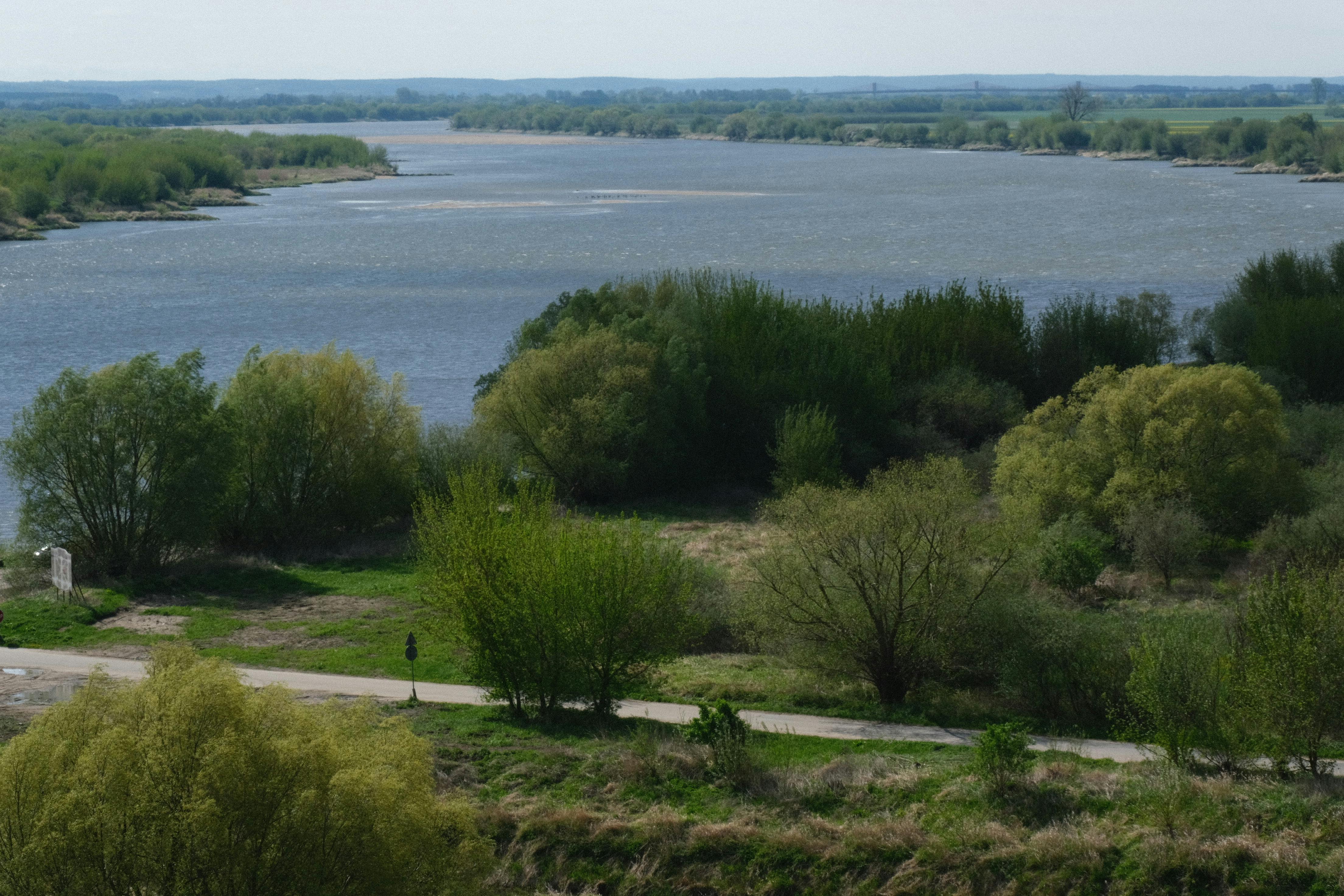 Stadtblick in Torgau - SEO Agentur Torgau und Webdesign Torgau