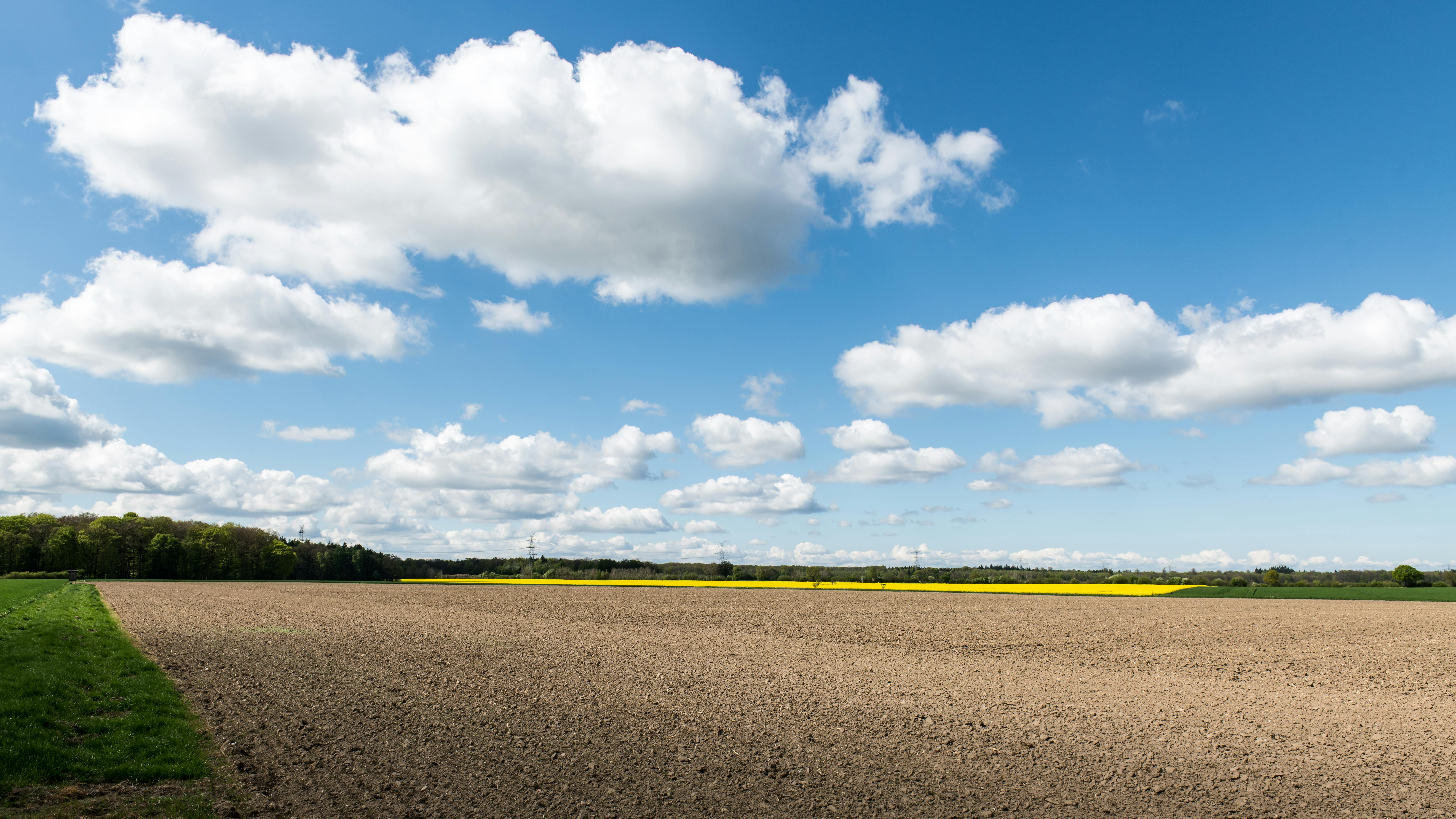 Stadtblick in Schwarzenbek - SEO Agentur Schwarzenbek und Webdesign Schwarzenbek