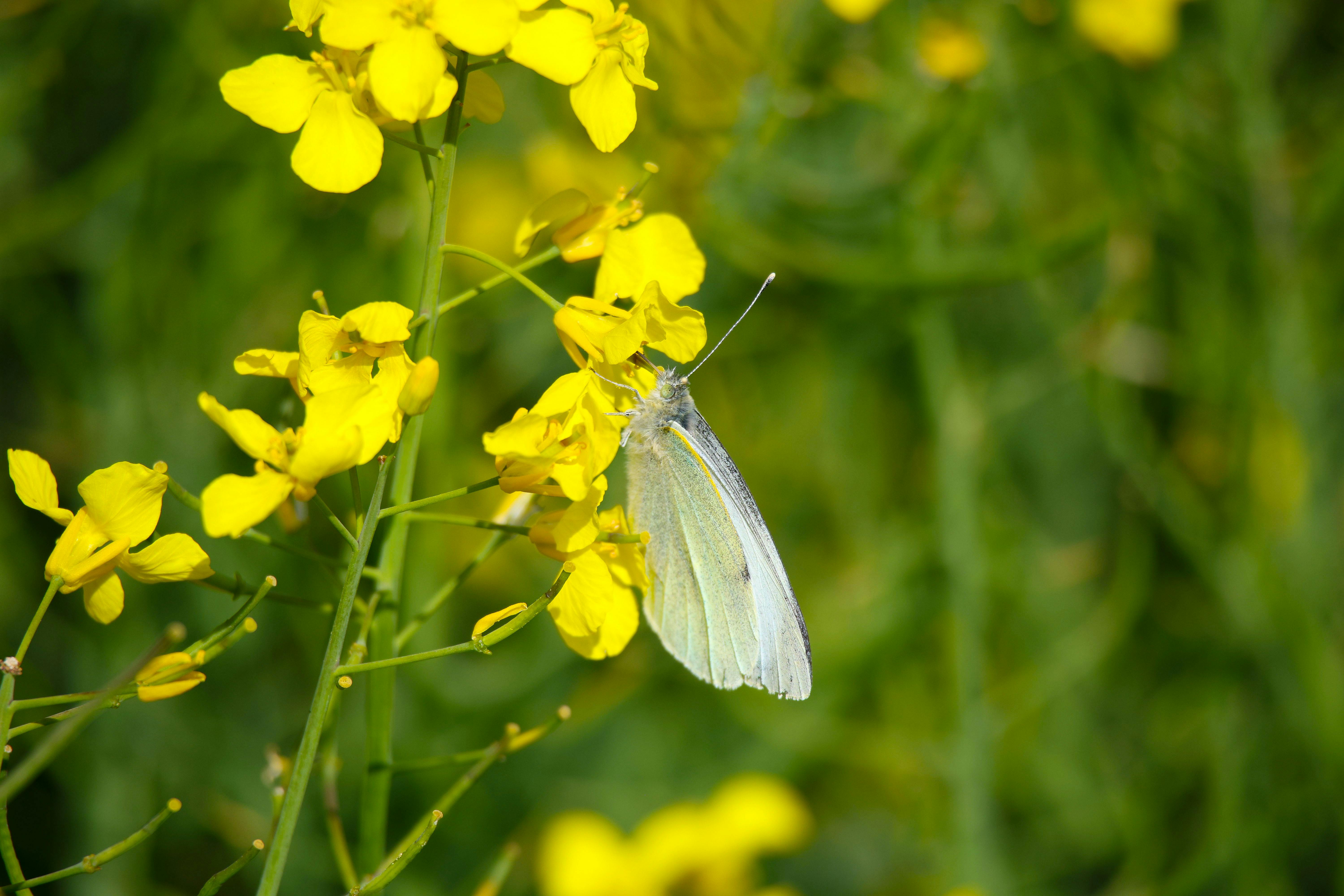 Süd Rheinland-Pfalz - Region in Rheinland-Pfalz - SEO Agentur, Webdesign und KI-Automatisierung