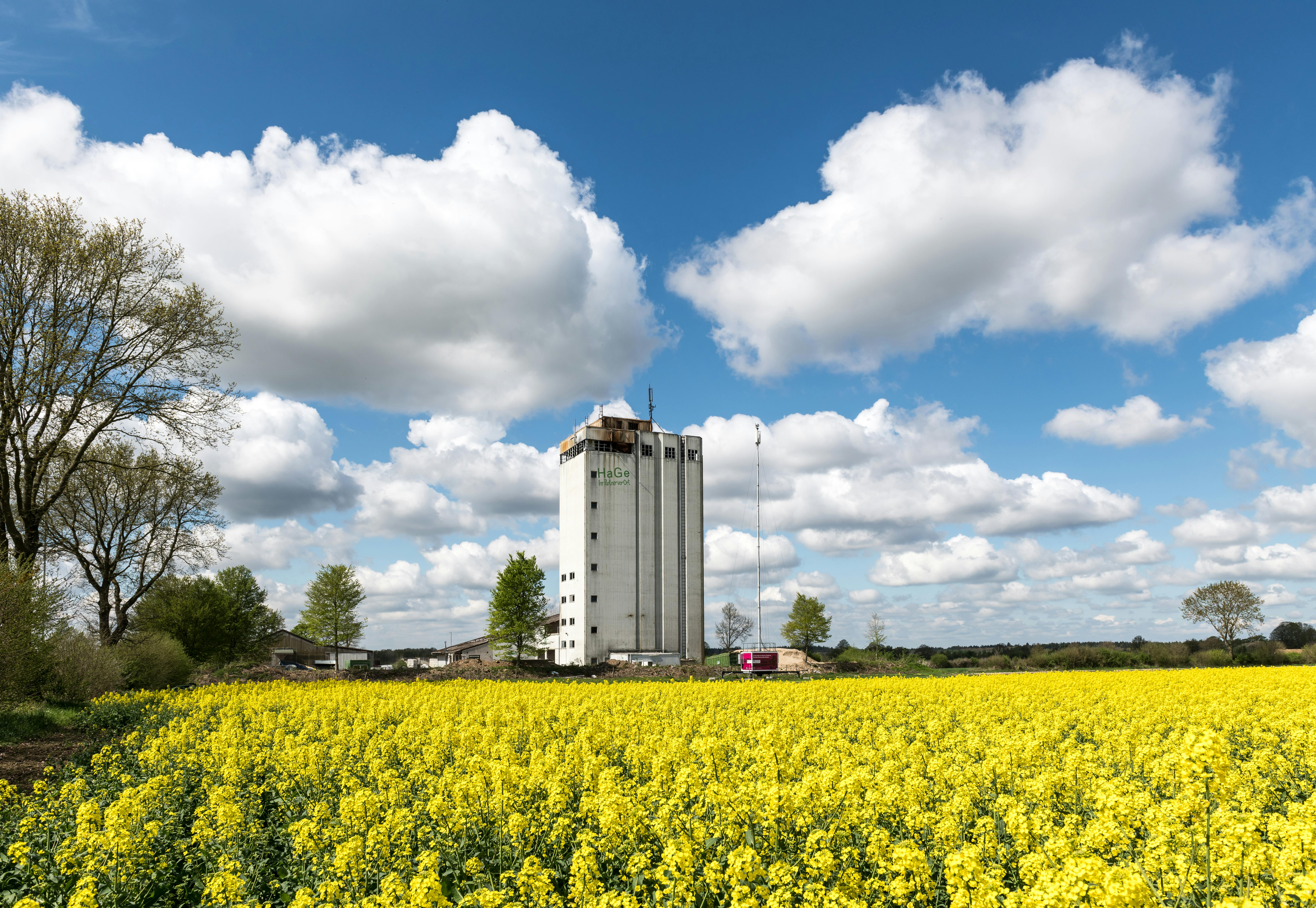 Süd Schleswig-Holstein - Region in Schleswig-Holstein - SEO Agentur, Webdesign und KI-Automatisierung