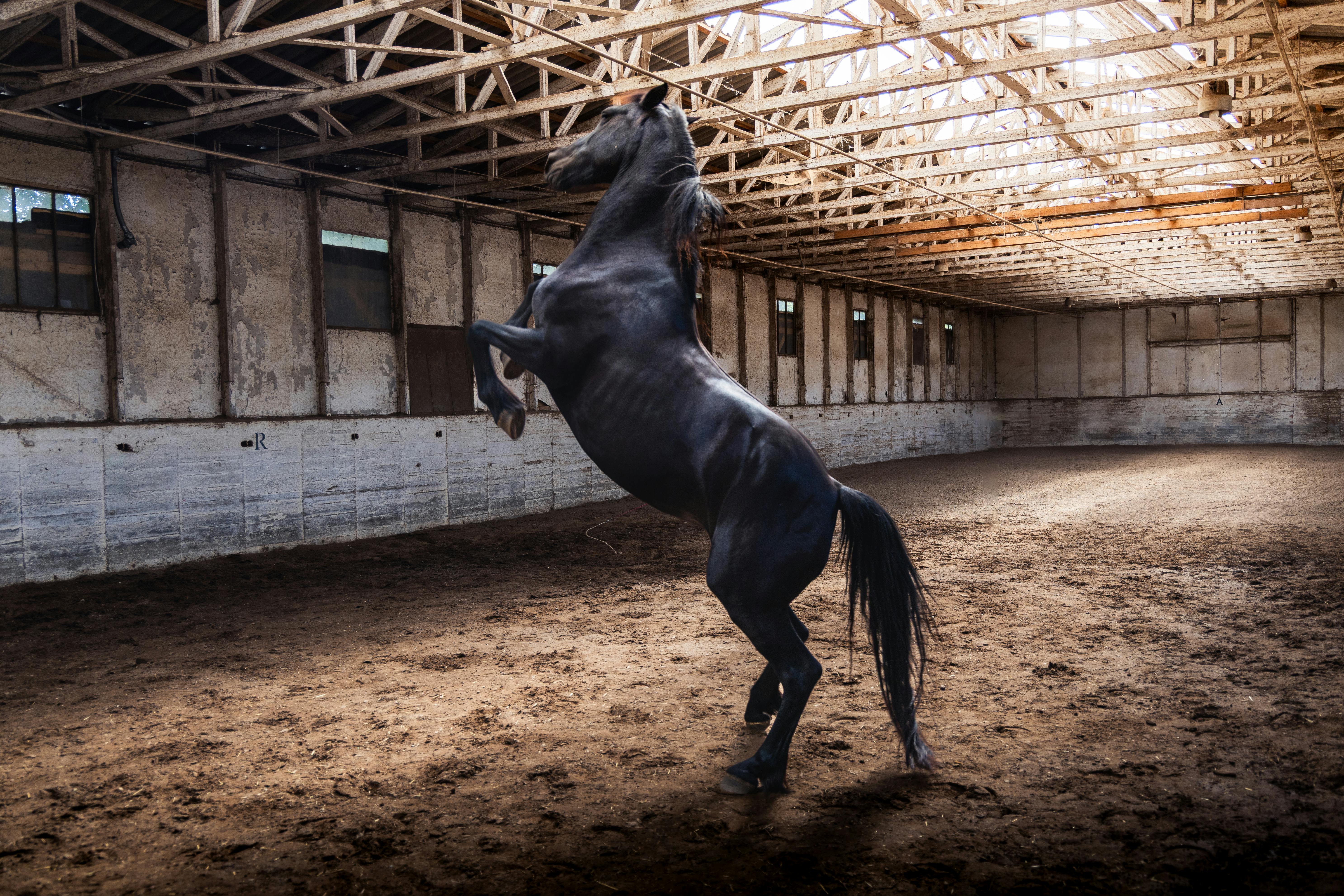 Sachsen - Bundesland in Deutschland - SEO Agentur, Webdesign und KI-Automatisierung